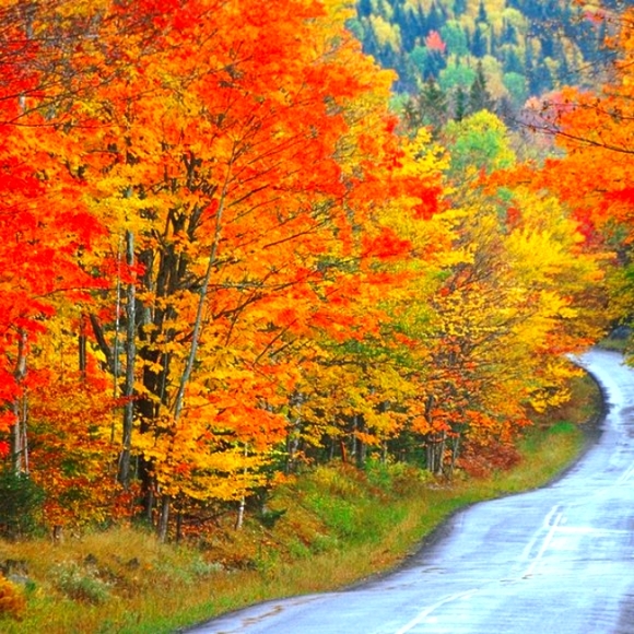 Meet your Posher, - Picture 6 of 8